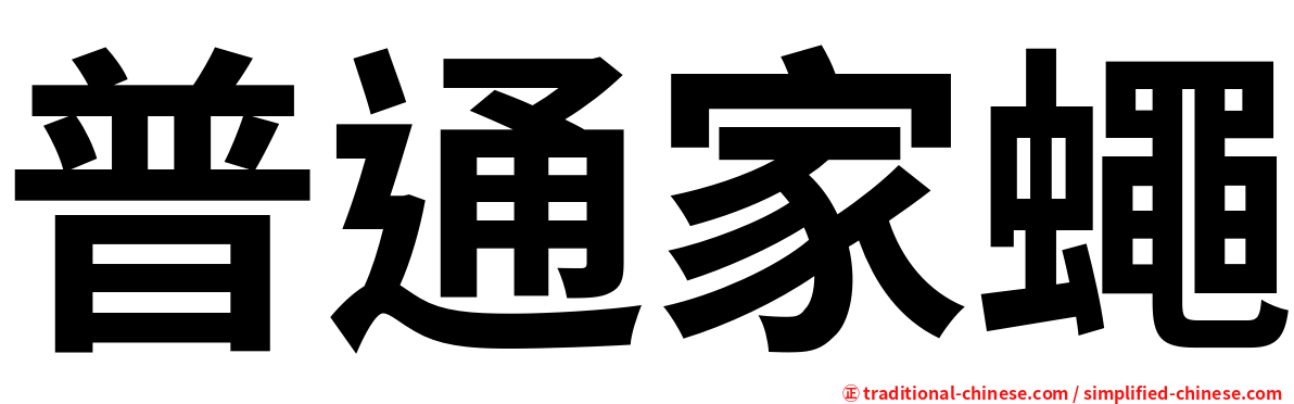 普通家蠅