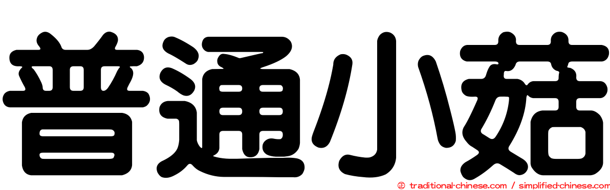 普通小菇