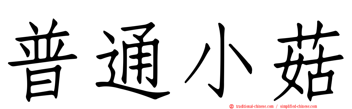 普通小菇