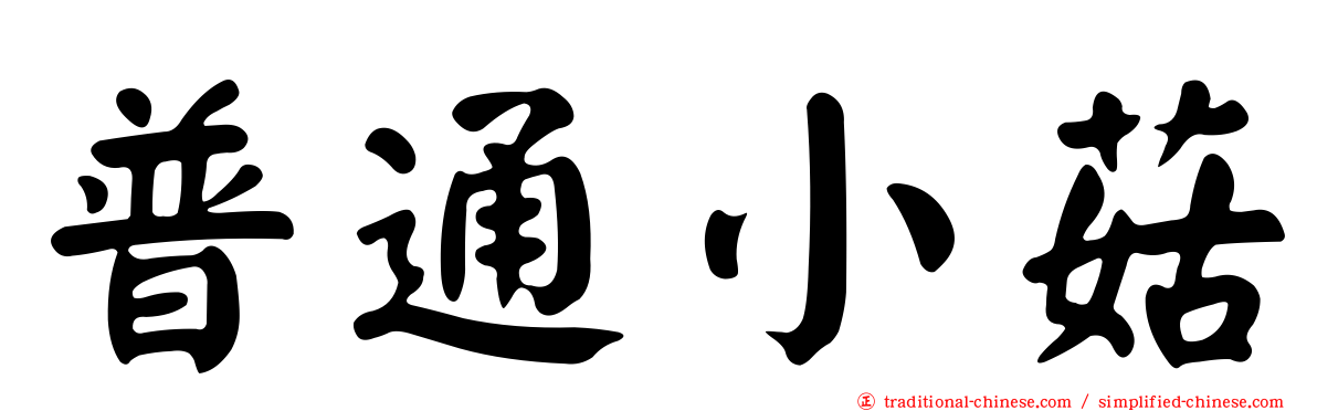 普通小菇