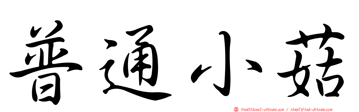 普通小菇