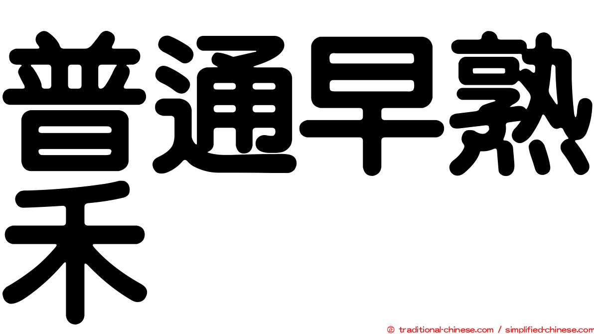 普通早熟禾