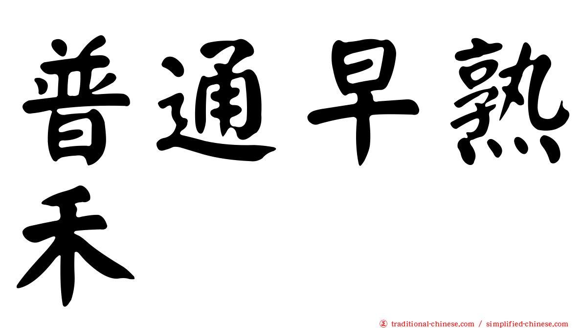 普通早熟禾