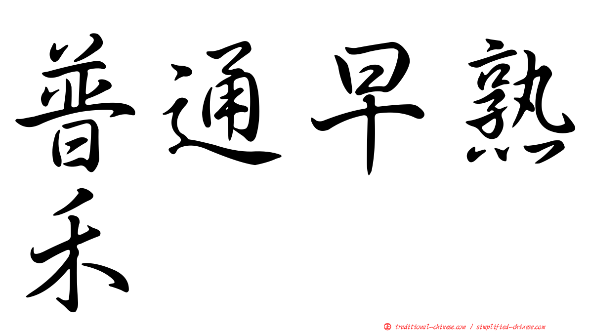 普通早熟禾