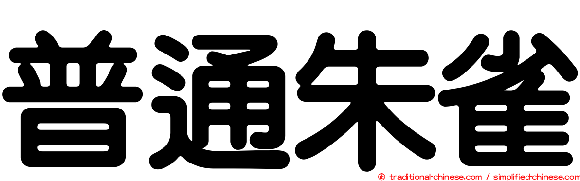 普通朱雀