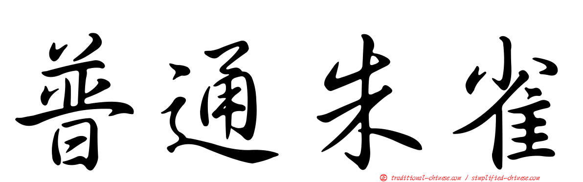 普通朱雀
