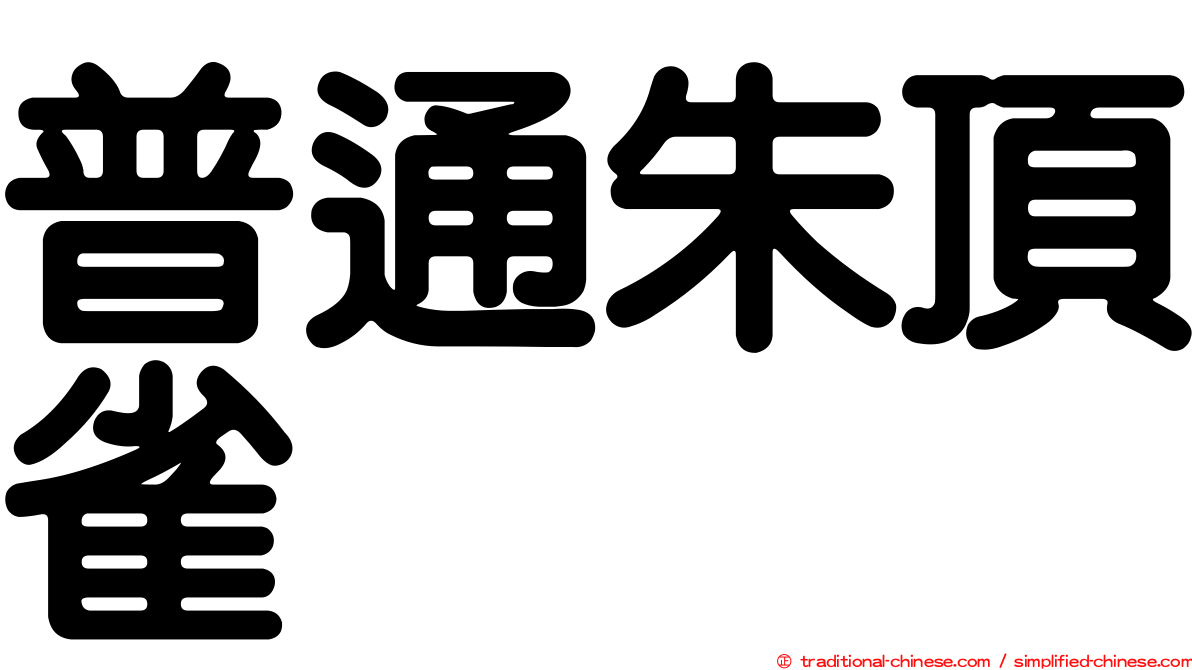 普通朱頂雀