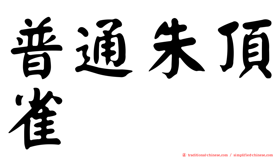 普通朱頂雀