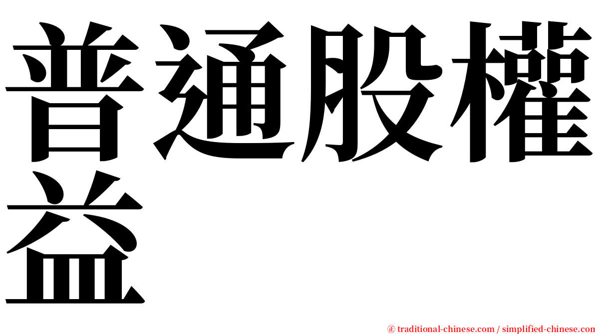 普通股權益 serif font