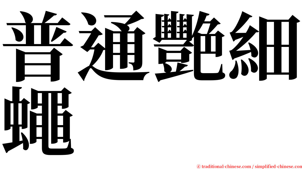 普通艷細蠅 serif font