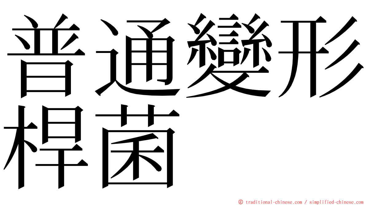 普通變形桿菌 ming font
