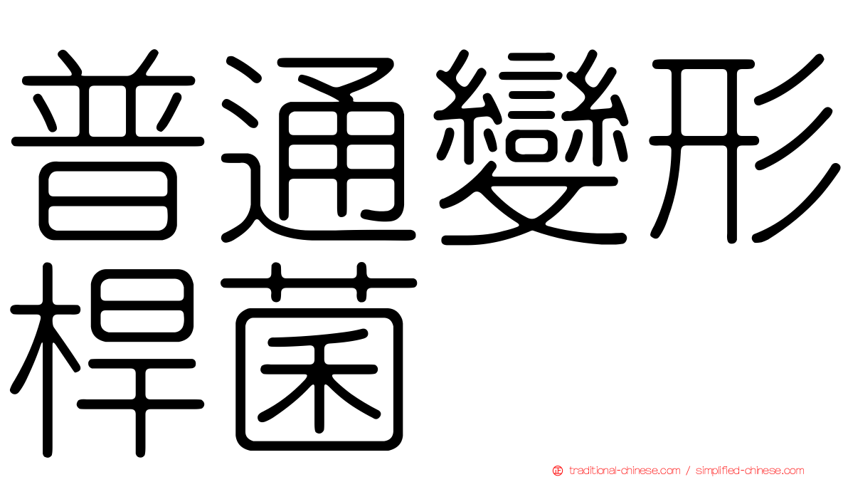普通變形桿菌