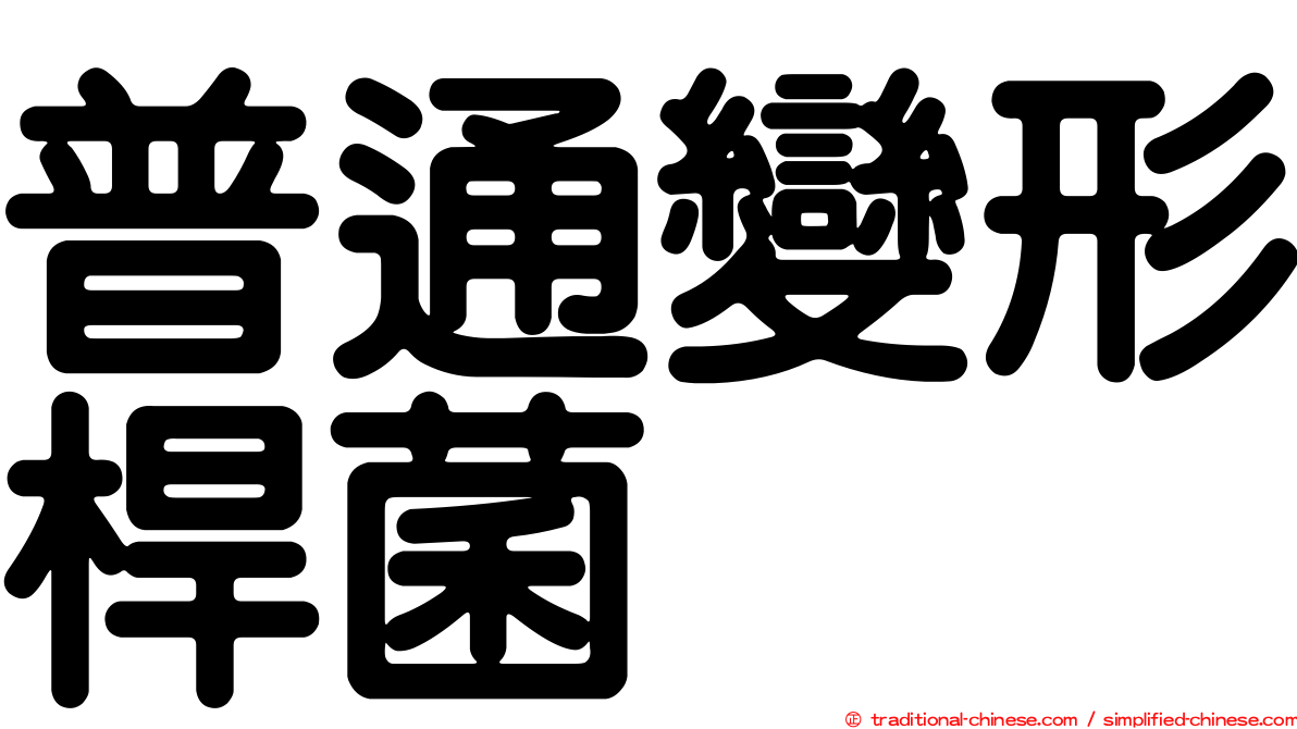 普通變形桿菌