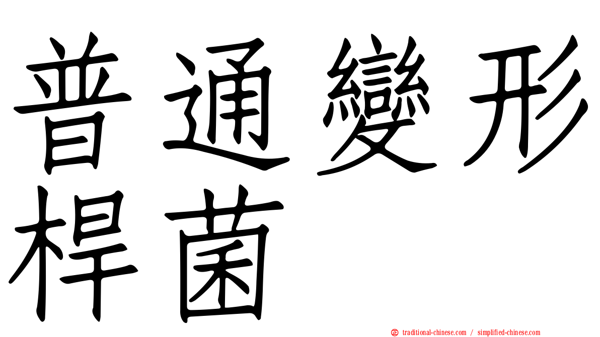 普通變形桿菌