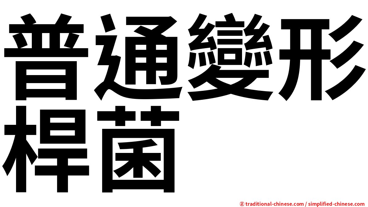 普通變形桿菌