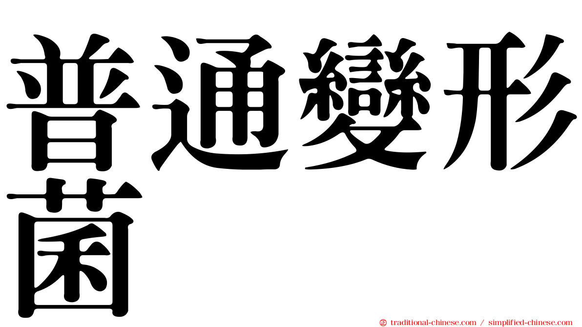 普通變形菌
