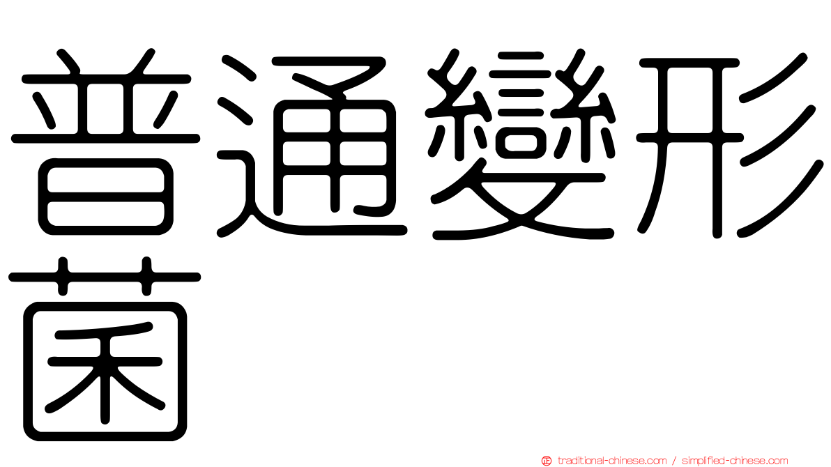 普通變形菌