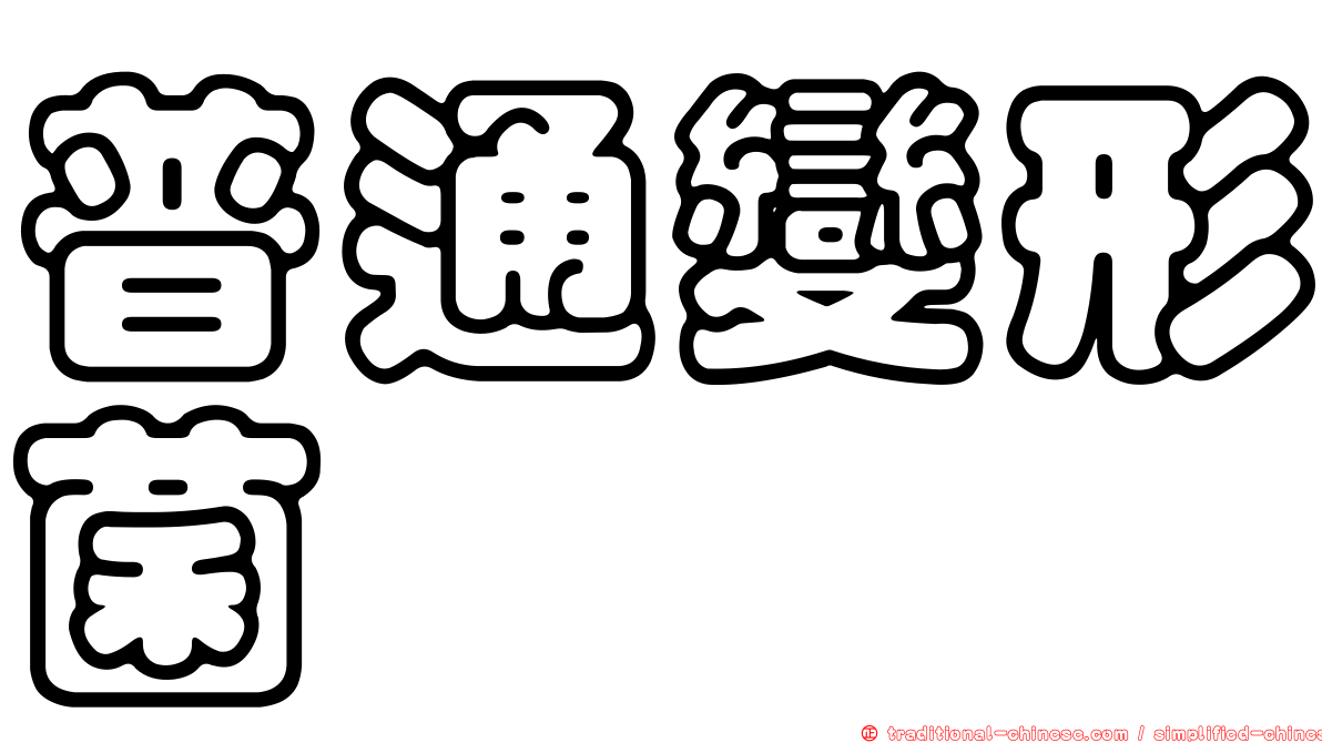 普通變形菌
