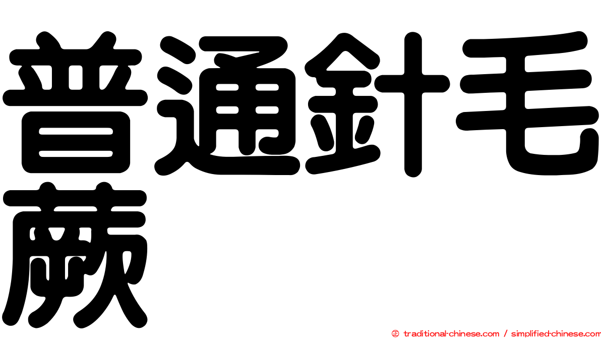 普通針毛蕨