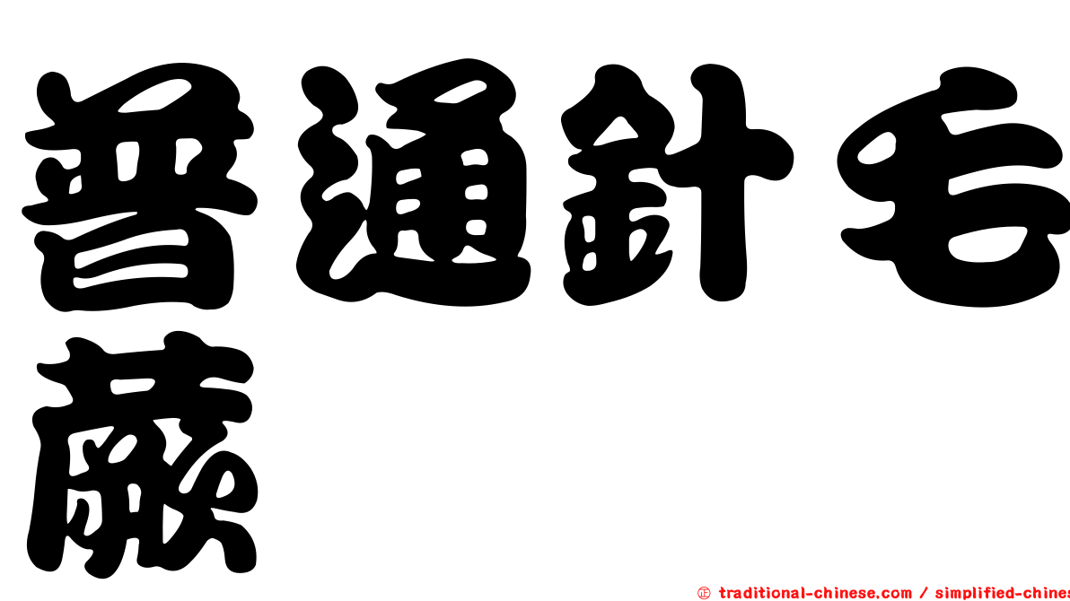 普通針毛蕨