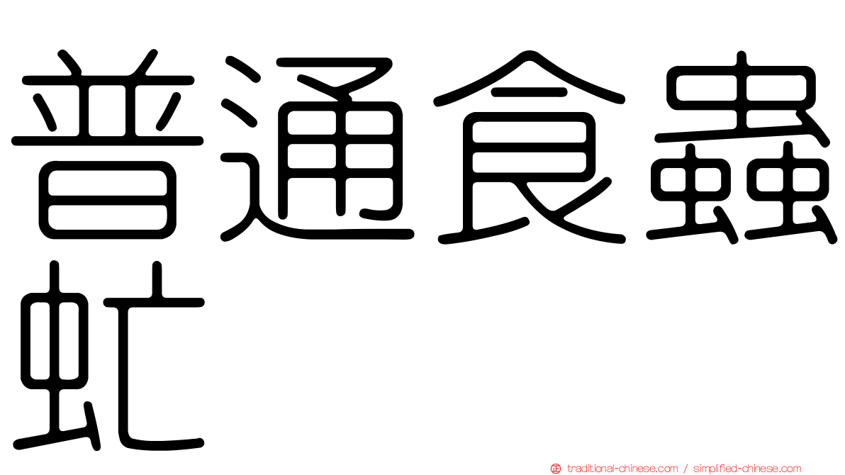 普通食蟲虻