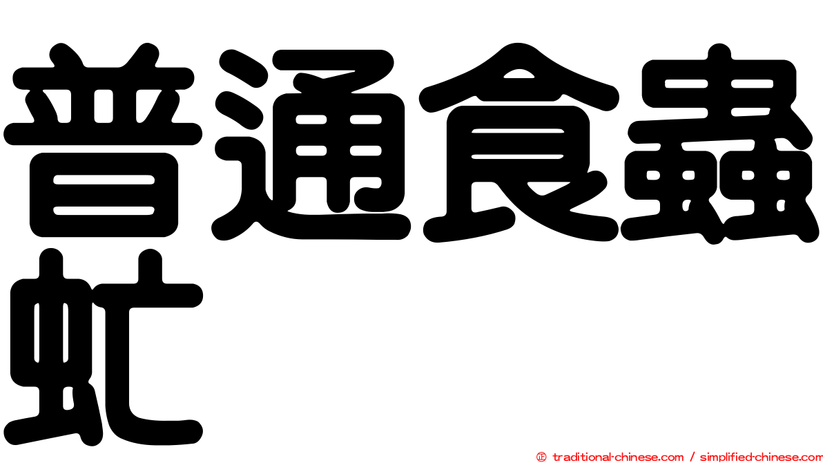 普通食蟲虻