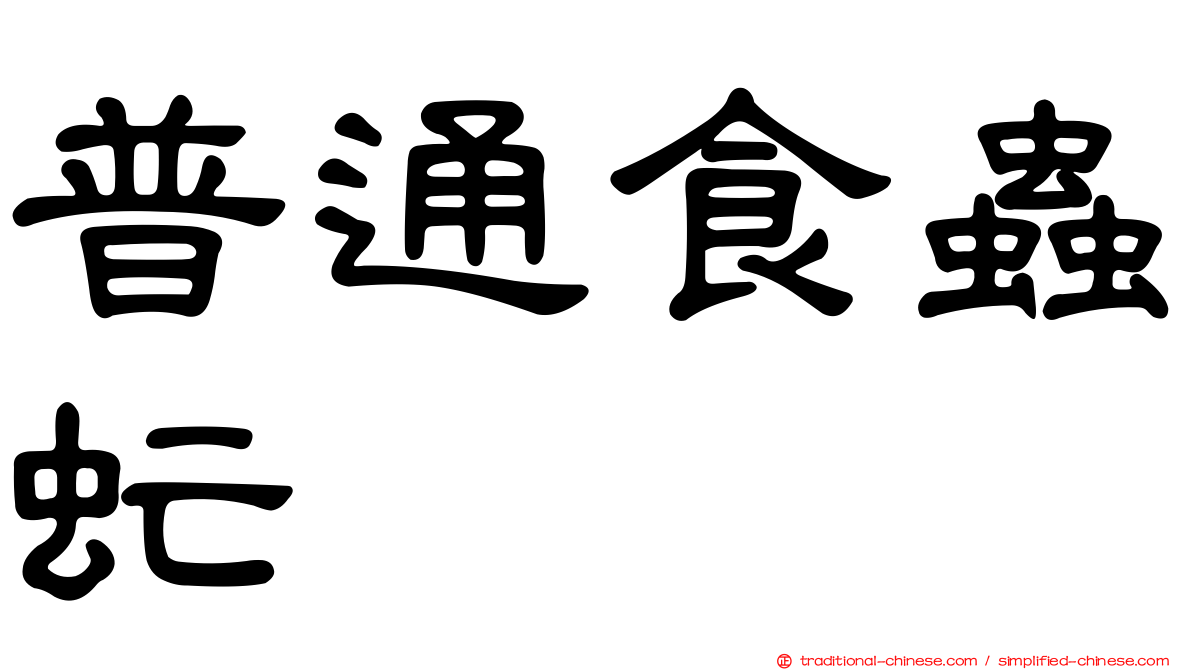 普通食蟲虻