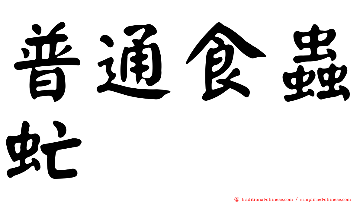 普通食蟲虻