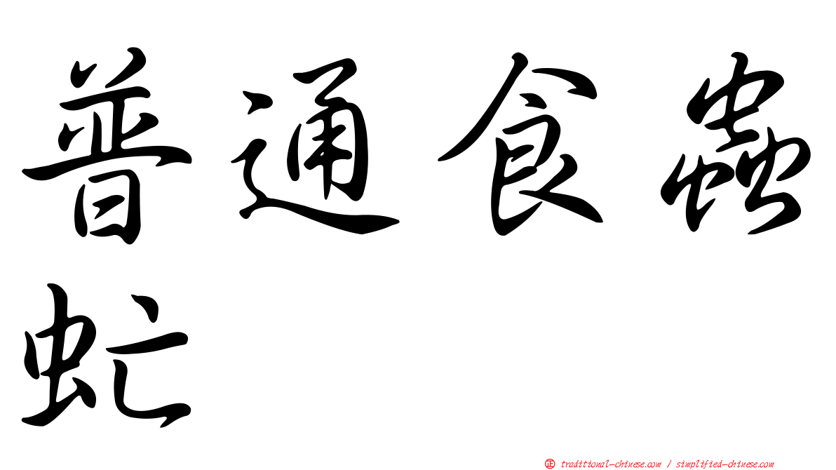 普通食蟲虻