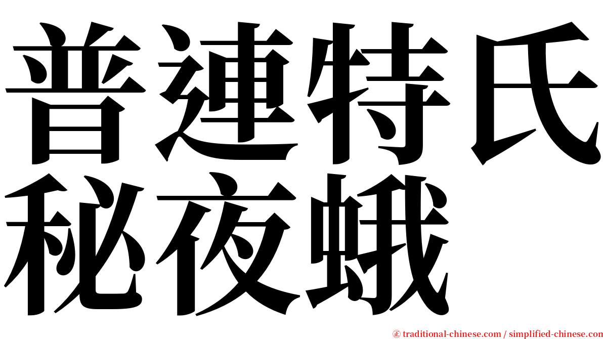普連特氏秘夜蛾 serif font