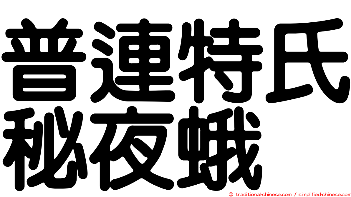 普連特氏秘夜蛾