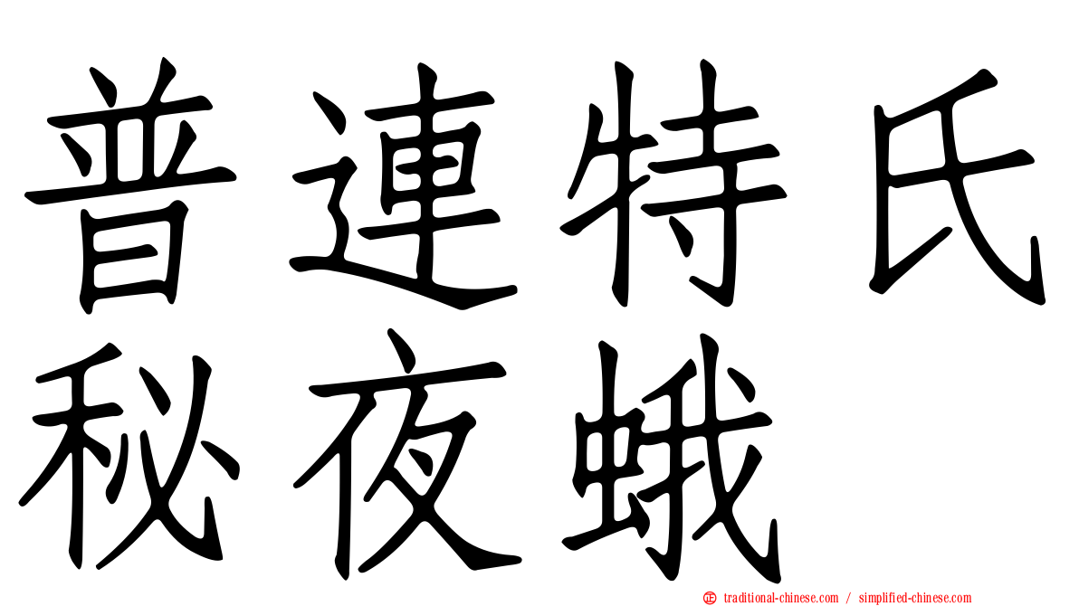普連特氏秘夜蛾