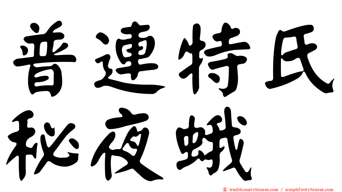 普連特氏秘夜蛾