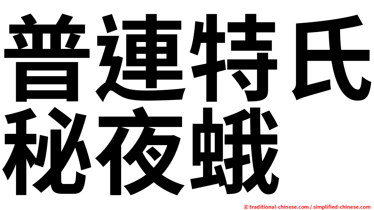 普連特氏秘夜蛾