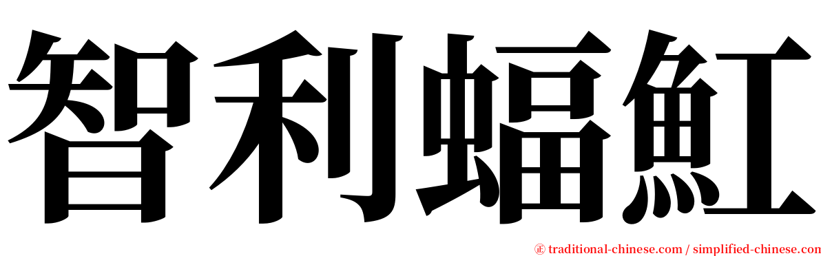 智利蝠魟 serif font