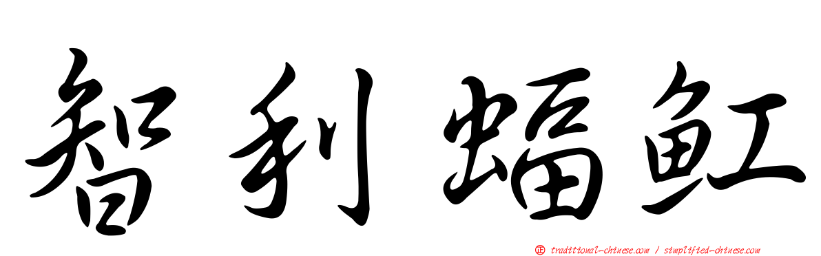 智利蝠魟