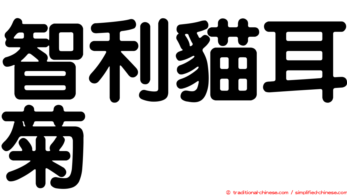 智利貓耳菊