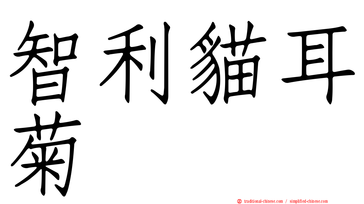 智利貓耳菊