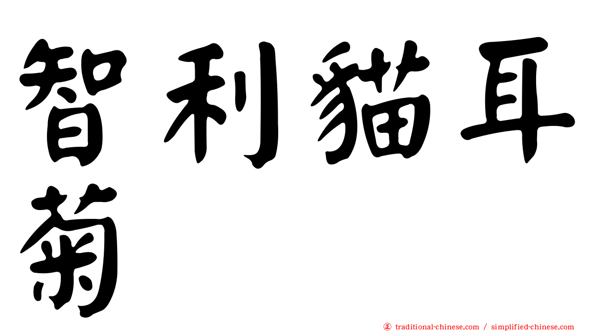 智利貓耳菊