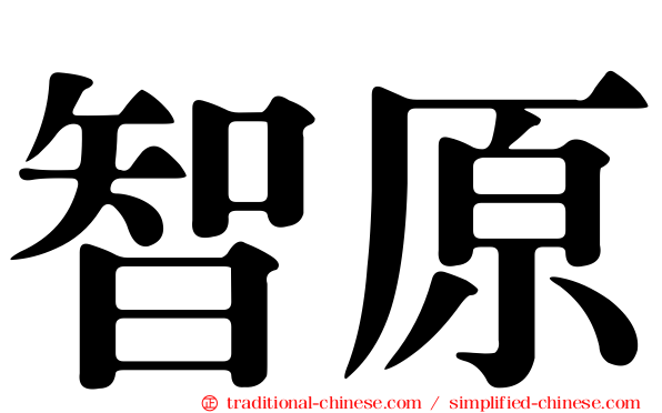 智原