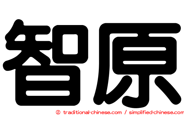 智原