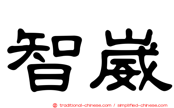 智崴
