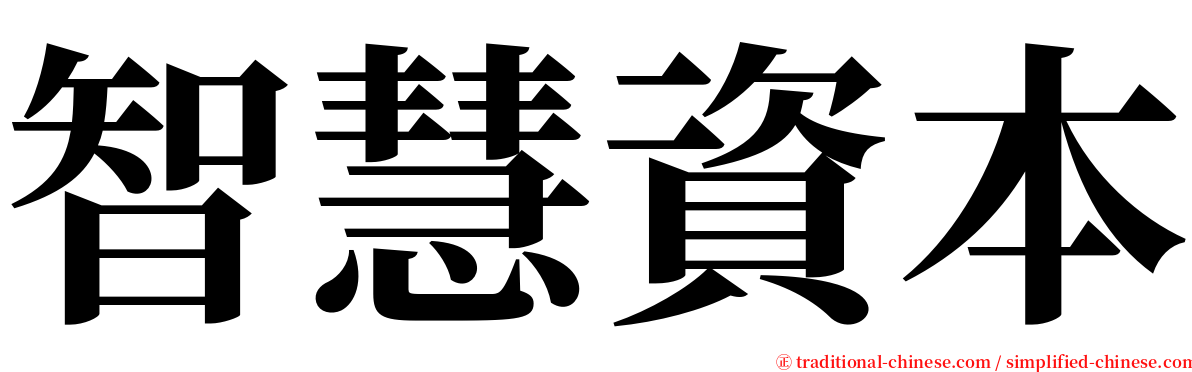 智慧資本 serif font