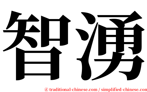 智湧 serif font