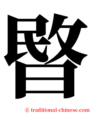 暋 serif font