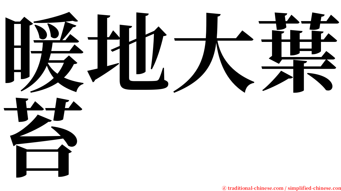 暖地大葉苔 serif font