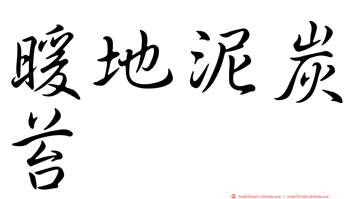 暖地泥炭苔