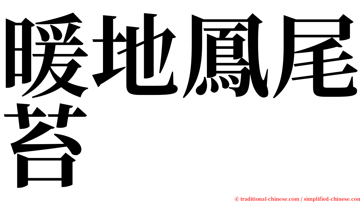 暖地鳳尾苔 serif font