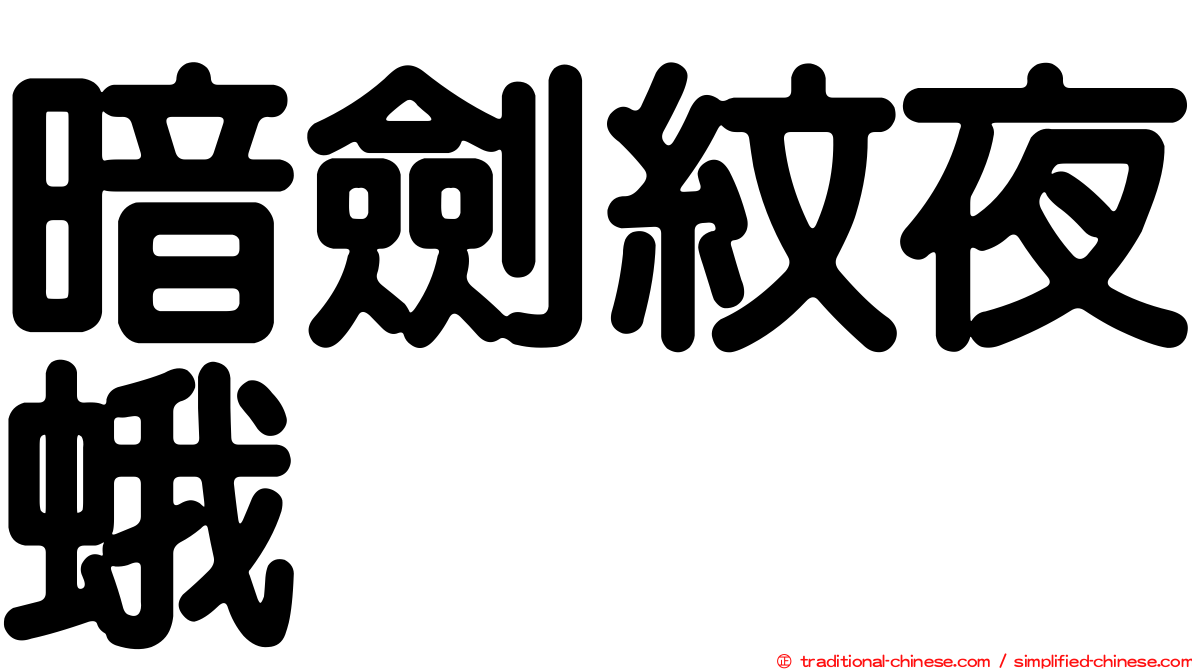 暗劍紋夜蛾