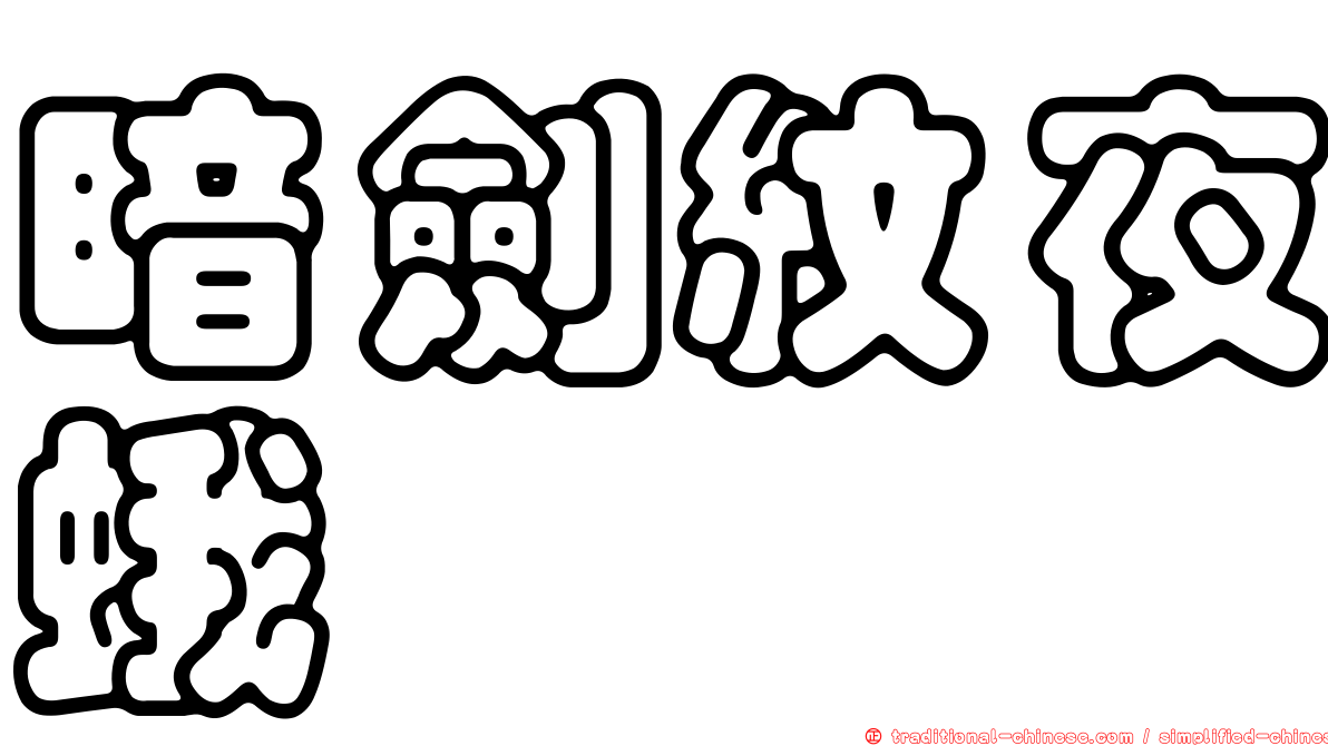 暗劍紋夜蛾